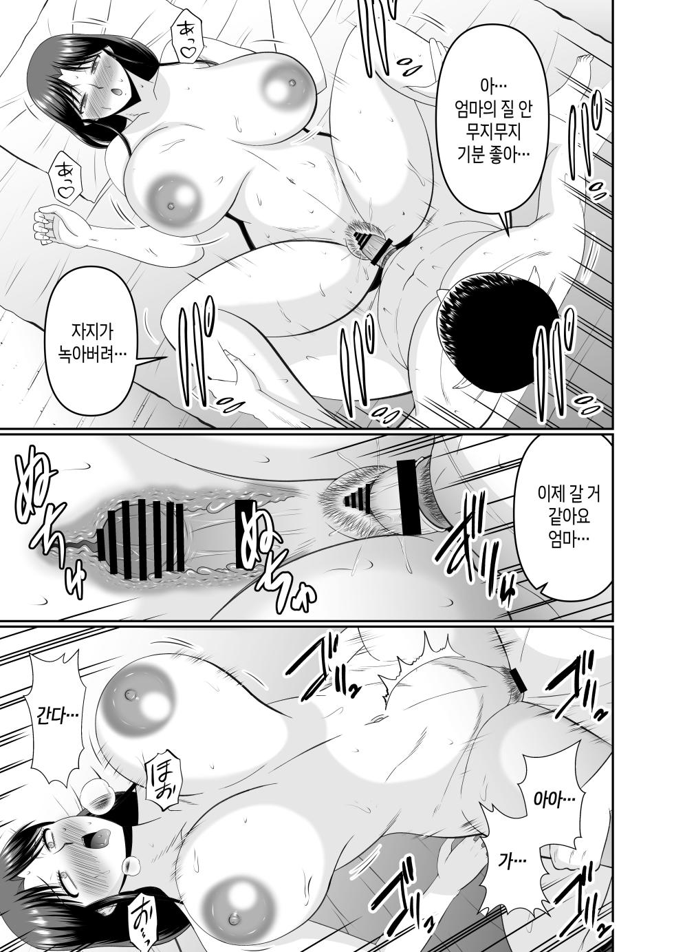 [Complete Box (Hatakeyama Tohya)] Yotta Hahaoya e no Itazura wa Musuko no Tashinami | 술 취한 엄마에게 장난치는 건 아들의 취미 [Korean] [팀 숙녀] [Digital] - Page 22