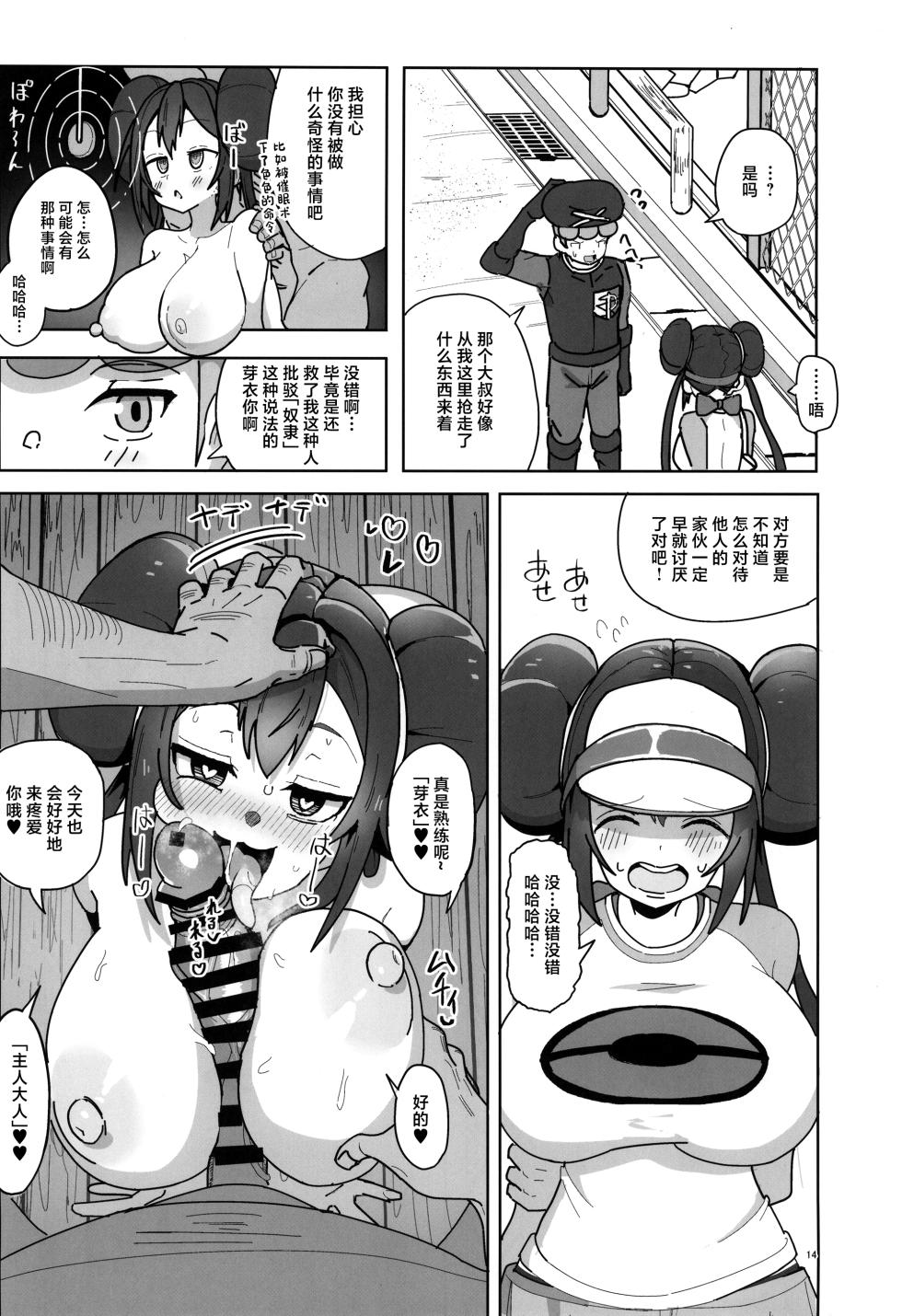 (C105) [Dokoka no Yosumi (Sumizumi Yosumi)] Maso Pet Making + Paper (Pokémon Black 2 and White 2) [Chinese] - Page 14