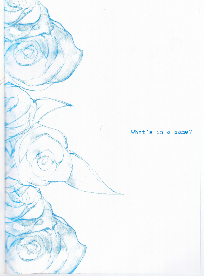 [Sera(anna)]ANOTHER ROSE [Tony x  Gilver](Devil May Cry) [Chinese] - Page 2
