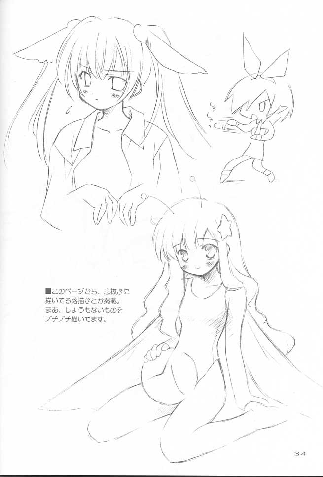 [Renrendou(Gayarou)] Iroiro。 - Page 35