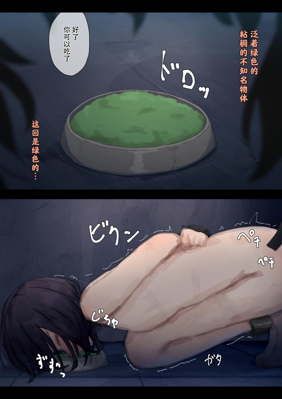 [Yukimaruya (Yukimuramaru)] Kouyuubutsu Shoujo 3 ~Kuni kara Jinken o Hakudatsu Saremono to Shite Atsukawareru Onnanoko no Hanashi~ Futsukame Hen [Chinese] - Page 14