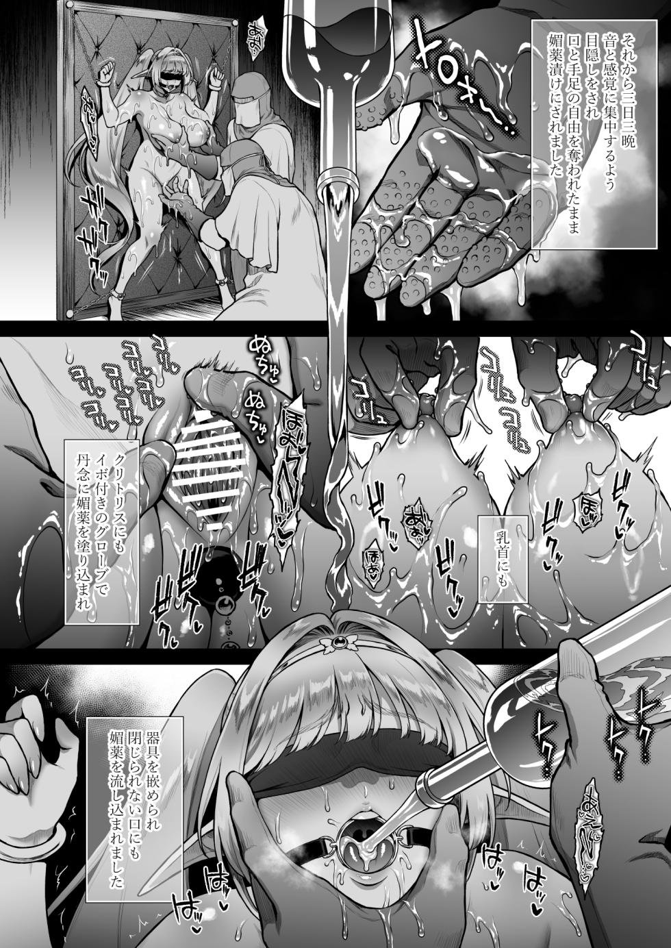 [H.B.A (Usagi Nagomu)] Yuukyuu no Shou Elf 6 <Mugen> Kako Hen I [Digital] - Page 16