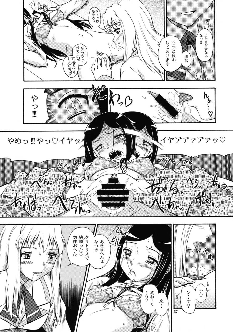 (C78) [Kensoh Ogawa (Fukudahda)] HiME Otome (Mai-HiME, Mai-Otome) - Page 36
