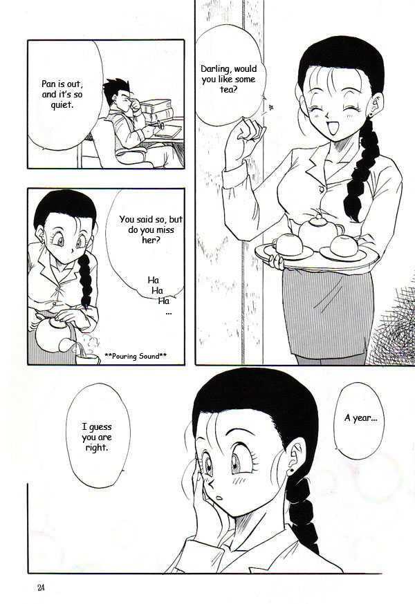 (C53) [Chirigami Goya, Fusuma Goten (Shouji Hariko)] HoHeTo (Dragon Ball GT) [English] - Page 23