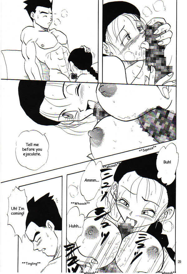 (C53) [Chirigami Goya, Fusuma Goten (Shouji Hariko)] HoHeTo (Dragon Ball GT) [English] - Page 28