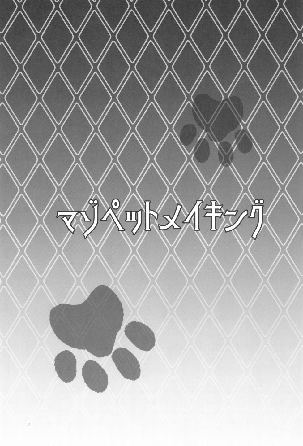 (C105) [Dokoka no Yosumi (Sumizumi Yosumi)] Maso Pet Making + Paper (Pokémon Black 2 and White 2) [English] {Doujins.com} - Page 2