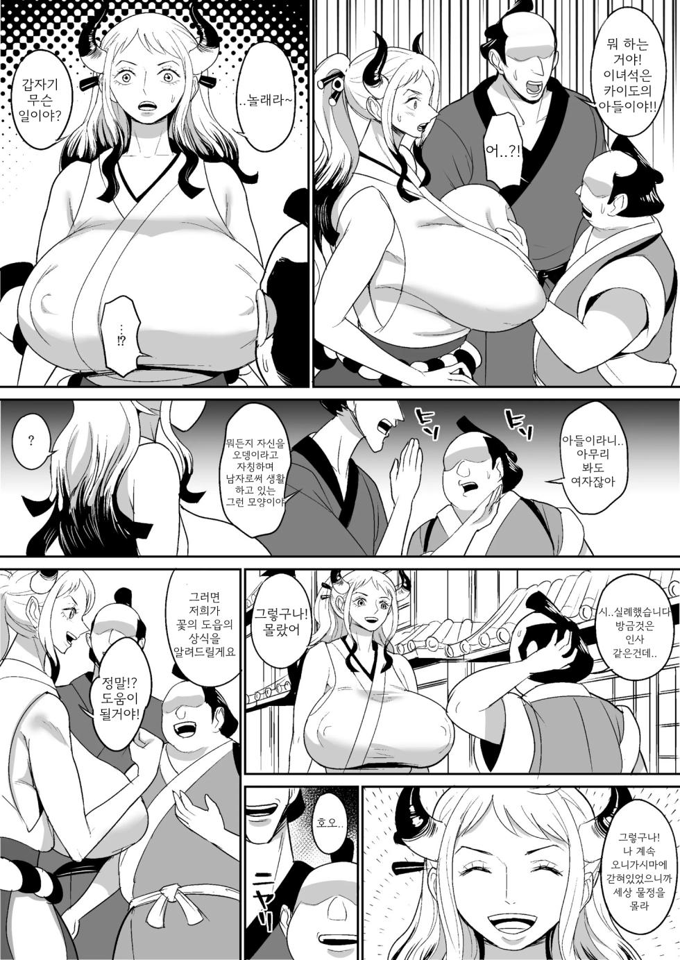 [REM9 (Hamiltan)] Onihime manga (One Piece) [Korean] - Page 4