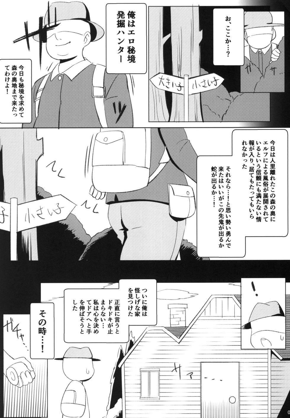 [KOTORIBIDOU (koto)] Elfuuzoku Taikenki [Digital] - Page 3