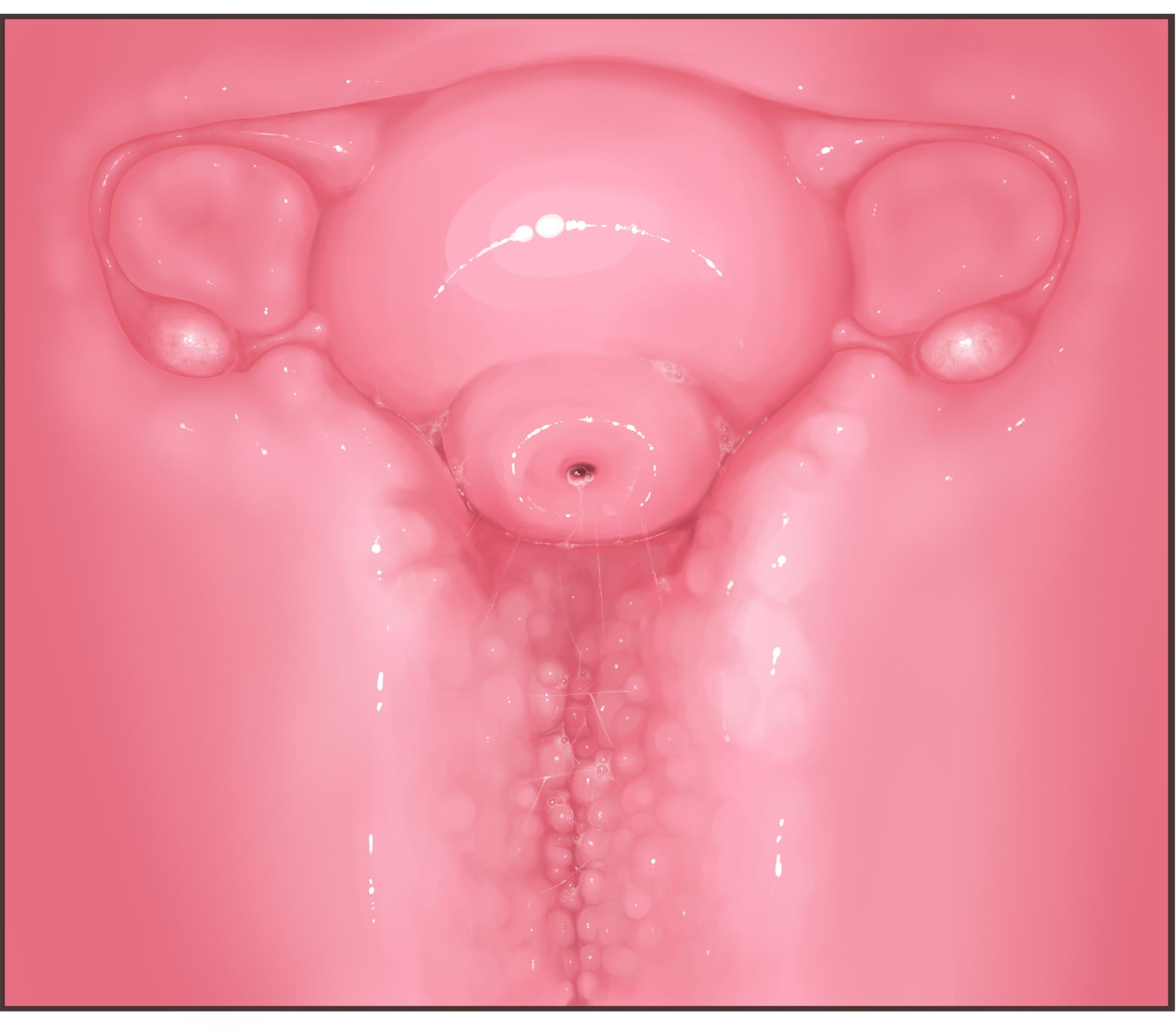 Futanari CG Collection Progress: Missionary Sex (Primera Subjective) + Cross-Section + Massive Ejaculation Summary - Page 4
