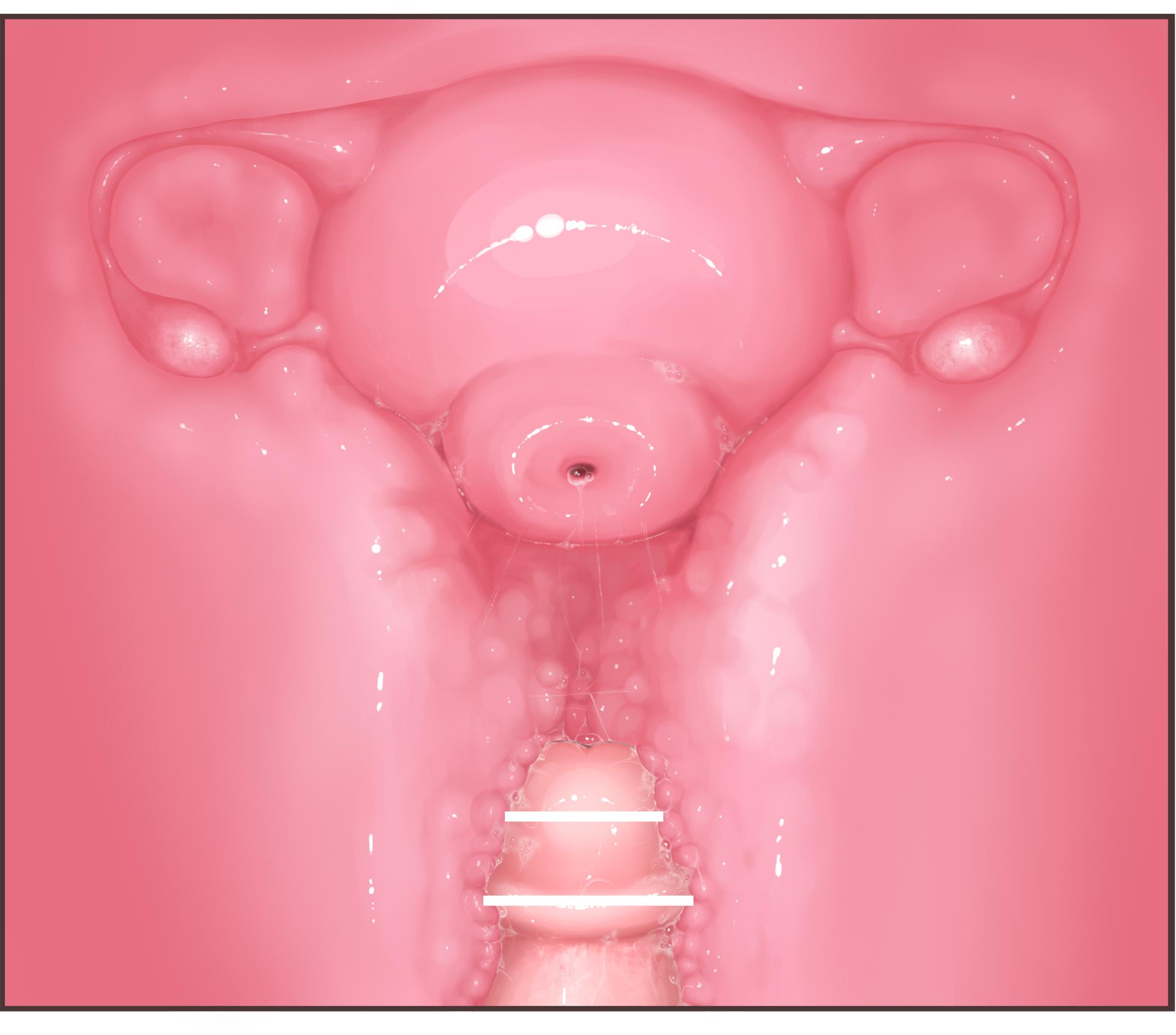 Futanari CG Collection Progress: Missionary Sex (Primera Subjective) + Cross-Section + Massive Ejaculation Summary - Page 6