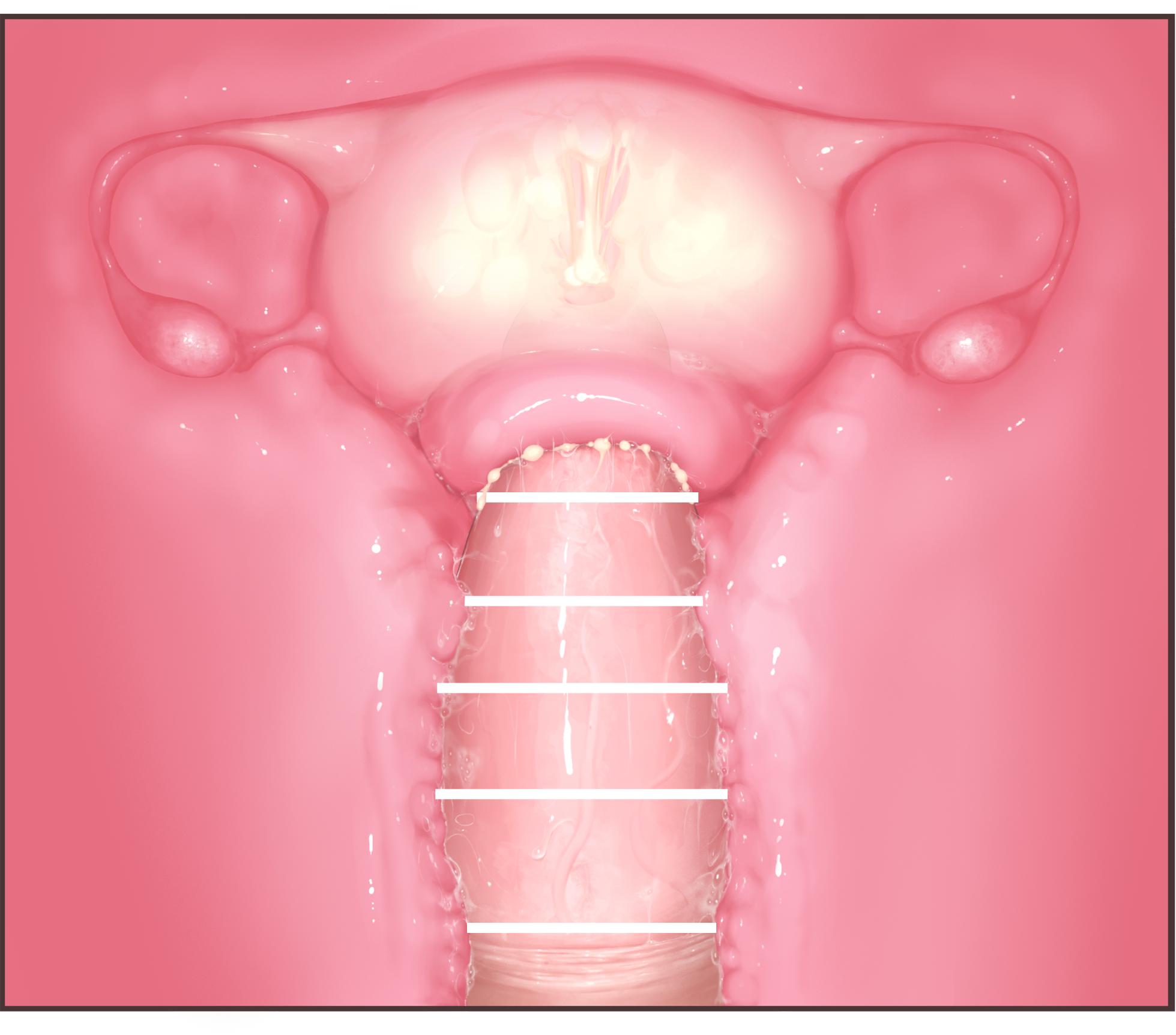 Futanari CG Collection Progress: Missionary Sex (Primera Subjective) + Cross-Section + Massive Ejaculation Summary - Page 16