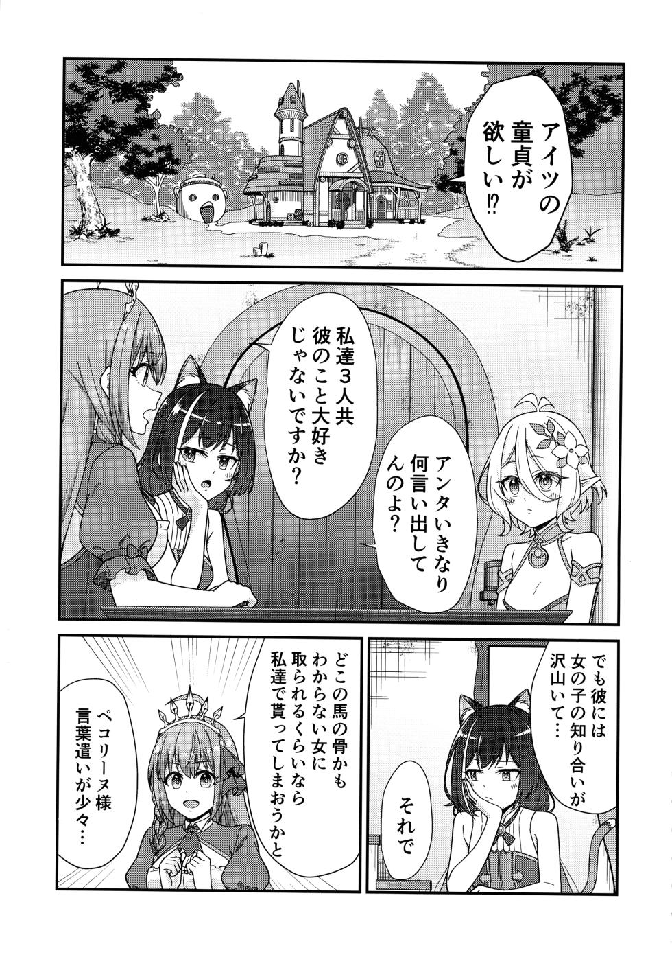 (C105) [Team Kid (k-ya)] Kishi-kun no Hajimete (Princess Connect! Re:Dive) - Page 3
