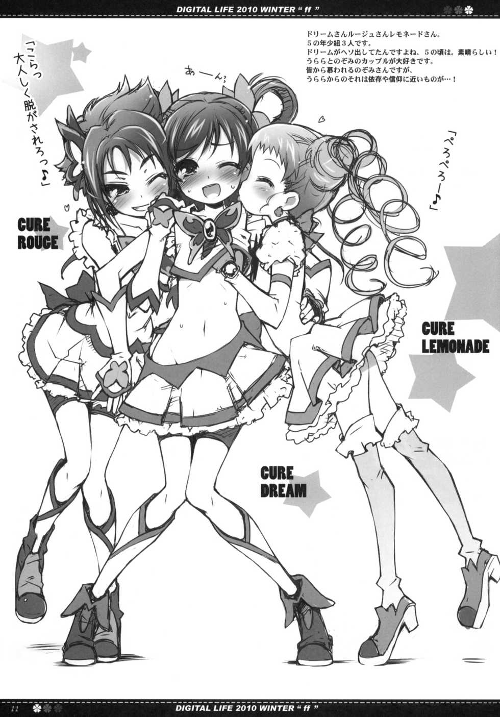 (C79) [life & Digital Flyer (Haga Yui & Ohta Yuuichi)] DIGITAL LIFE 2010 WINTER ff (Precure Series) - Page 10