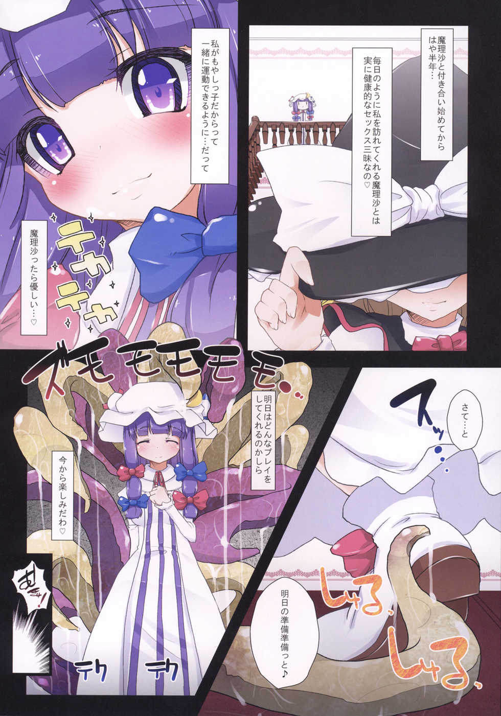 (C79) [Eclipse (Rougetu)] seed (Touhou Project) - Page 2