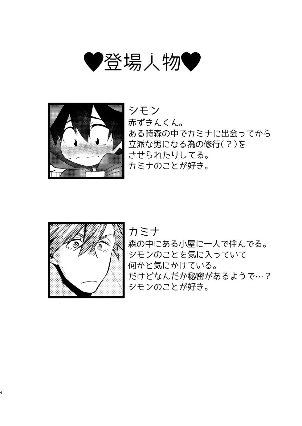 [Marumaru Maru (Hikamaru)] 赤ずきんくんとオオカミナさん (Tengen Toppa Gurren Lagann) [Digital] - Page 3