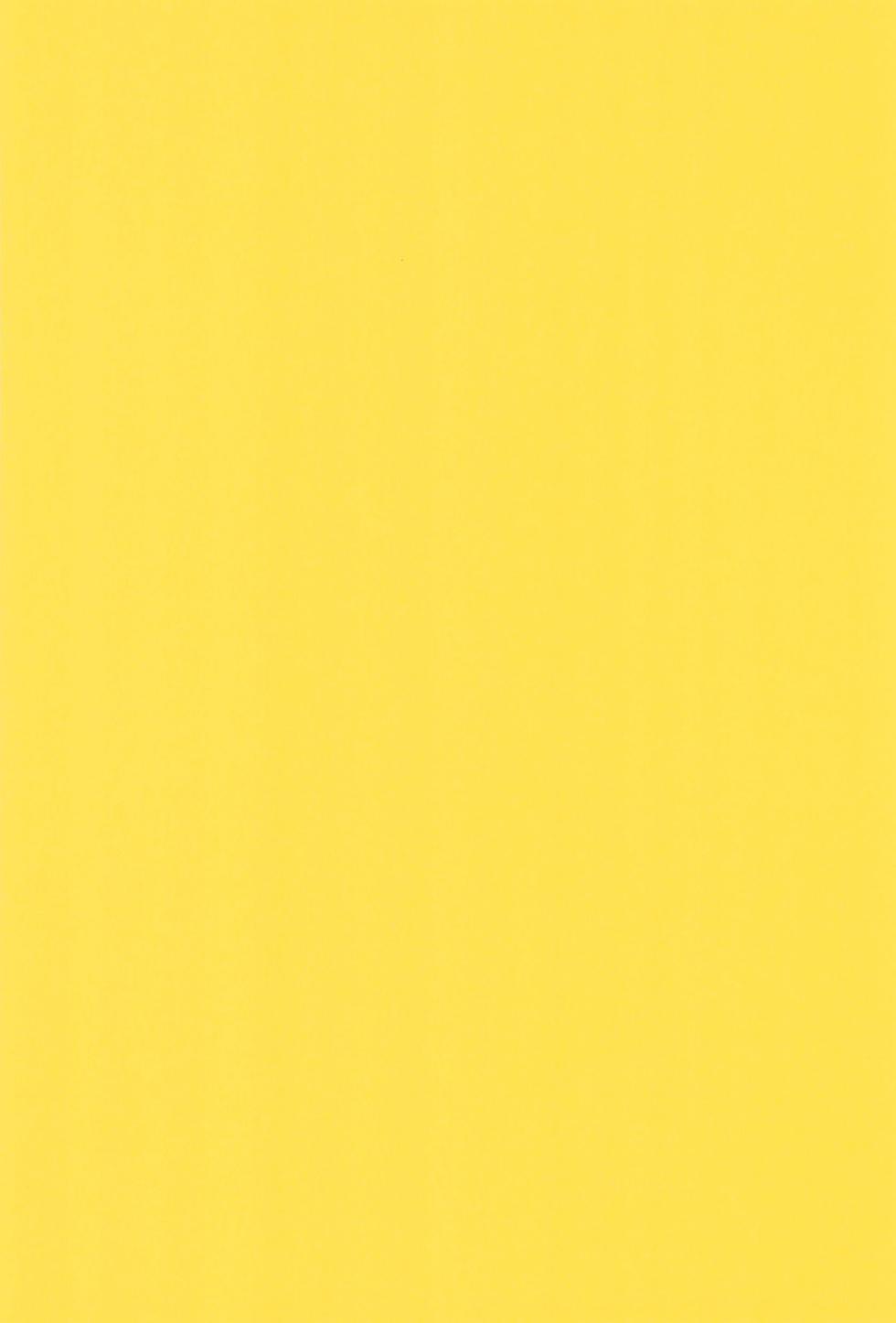 (C100) [Belphegor no 39 (Kuma-ya)] Foot Sexy (Odd Taxi) - Page 18