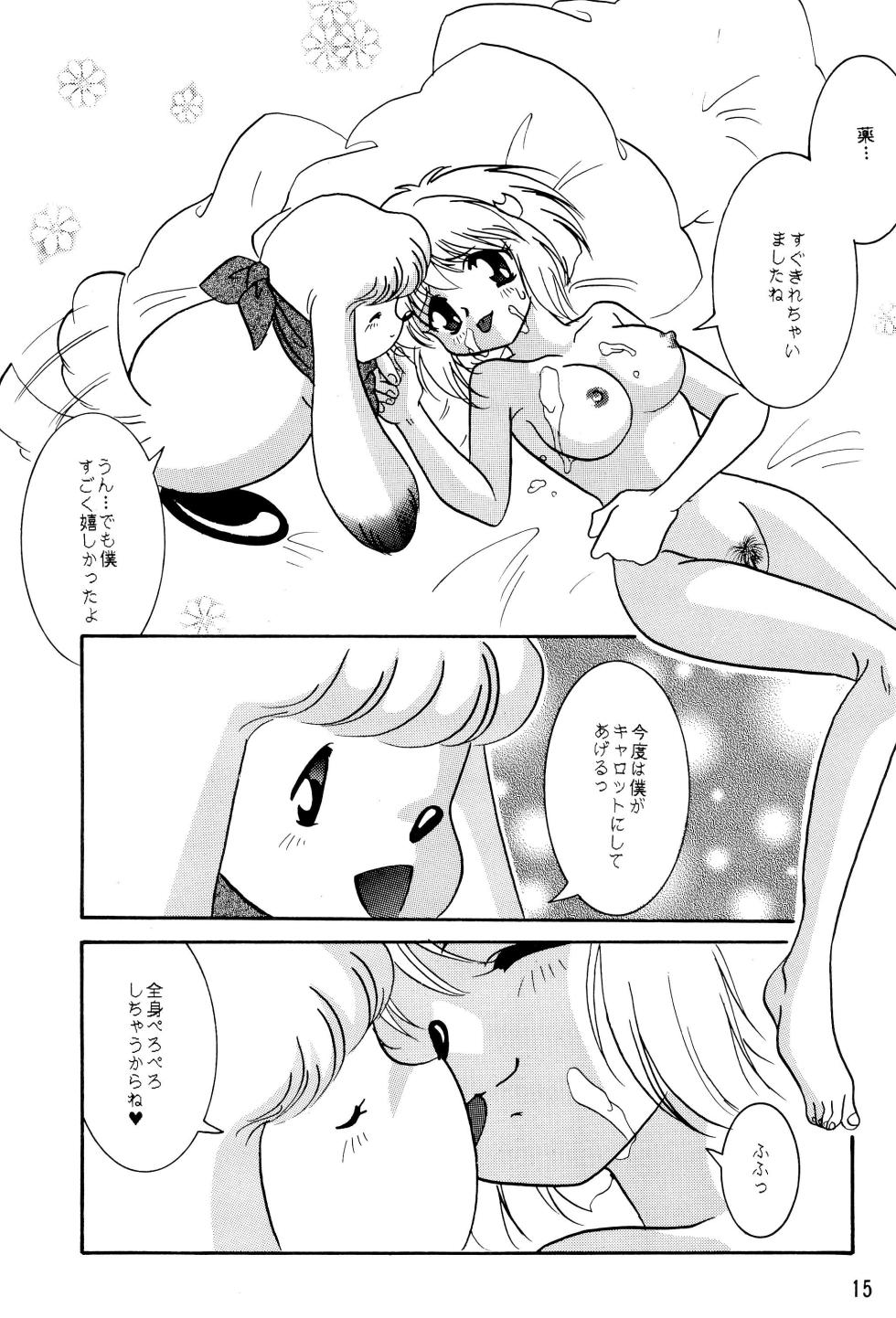 (CR22) [RARE DIAMOND (Amagi Yuu)] POLON de POLON (Kaerunyo Panyon) - Page 17