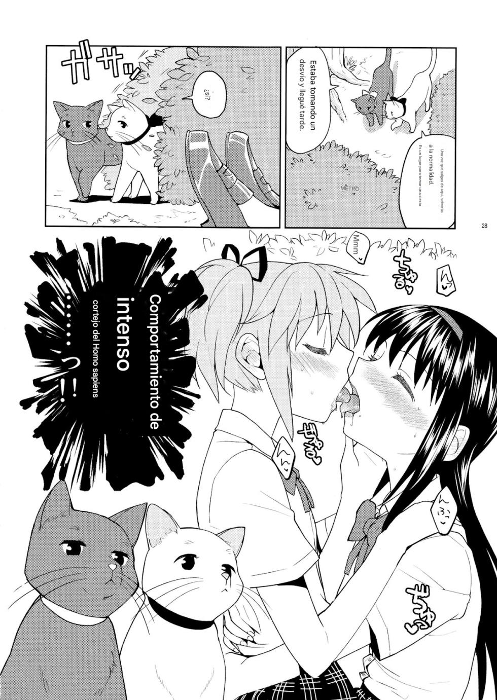 (Mou Nanimo Kowakunai 13) [Nedaore (Ayane)] Matometa no. (Puella Magi Madoka Magica) [Spanish] [CristoferDeLosAndes] - Page 31