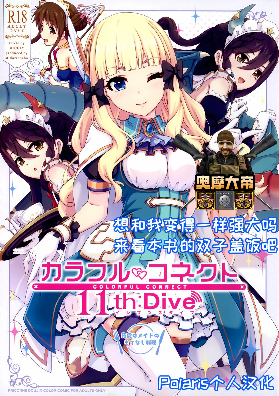 (C105) [MIDDLY (Midorinocha)] Colorful Connect 11th:Dive (Princess Connect! Re:Dive) [Chinese] [Polaris个人汉化] - Page 1