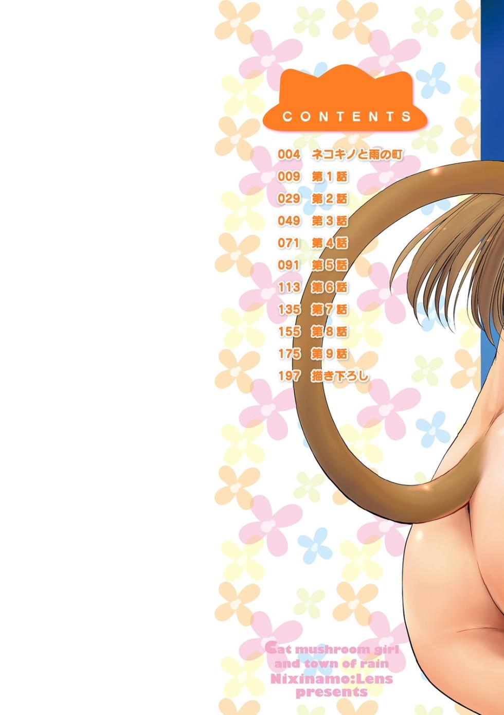 [Nixinamo Lens] Nekokino to Ame no Machi - Cat Mushroon Girl And Town of Rain [Digital] - Page 2