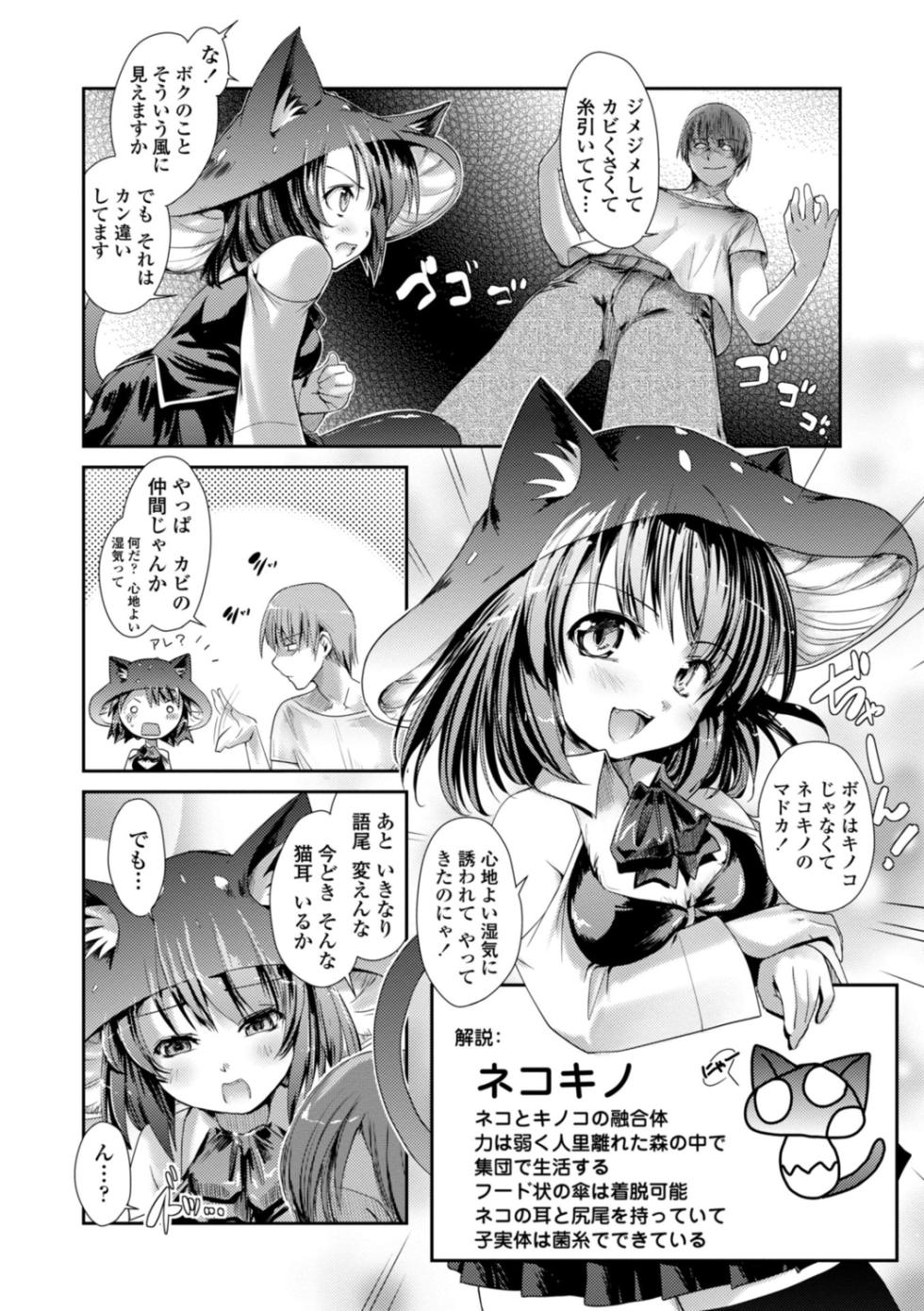 [Nixinamo Lens] Nekokino to Ame no Machi - Cat Mushroon Girl And Town of Rain [Digital] - Page 12
