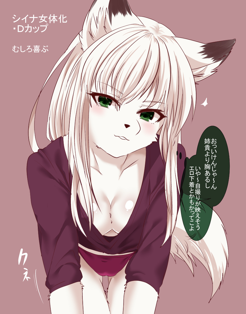 [Kimuchi-tei (Rurien)] Pixiv: Male gallery - Page 39