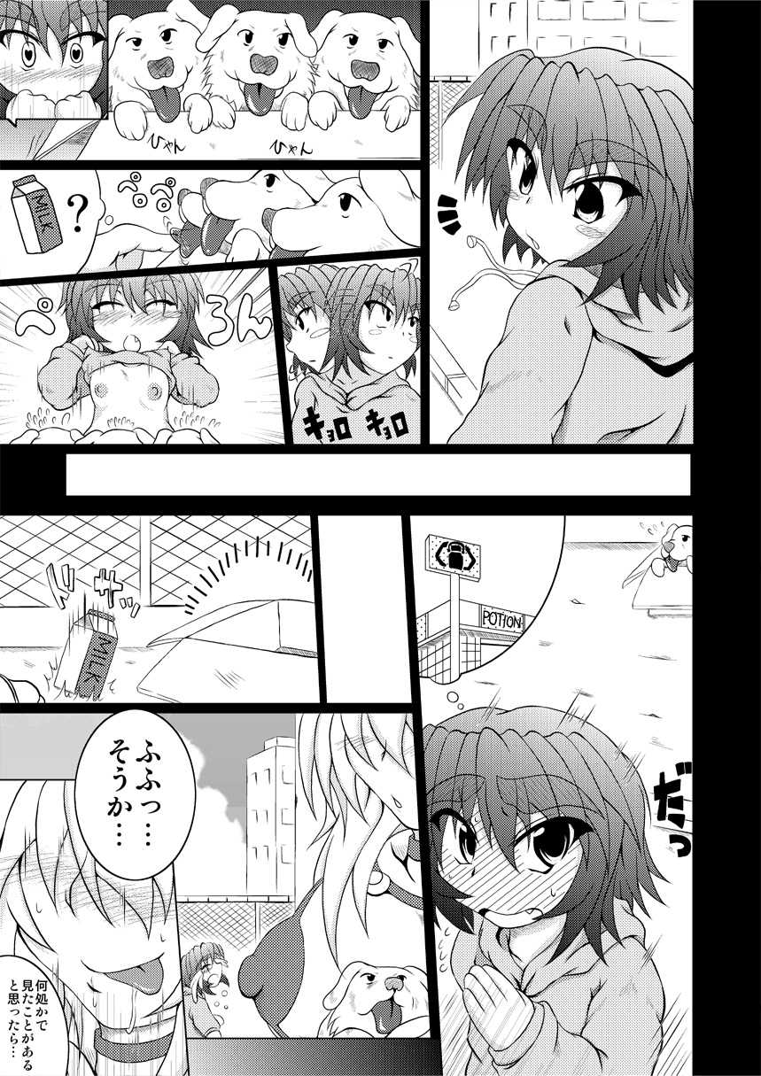 (C78) [STRATOS (Akan Tare)] Shadan Shoujo Astral vs Kerberos - Page 4