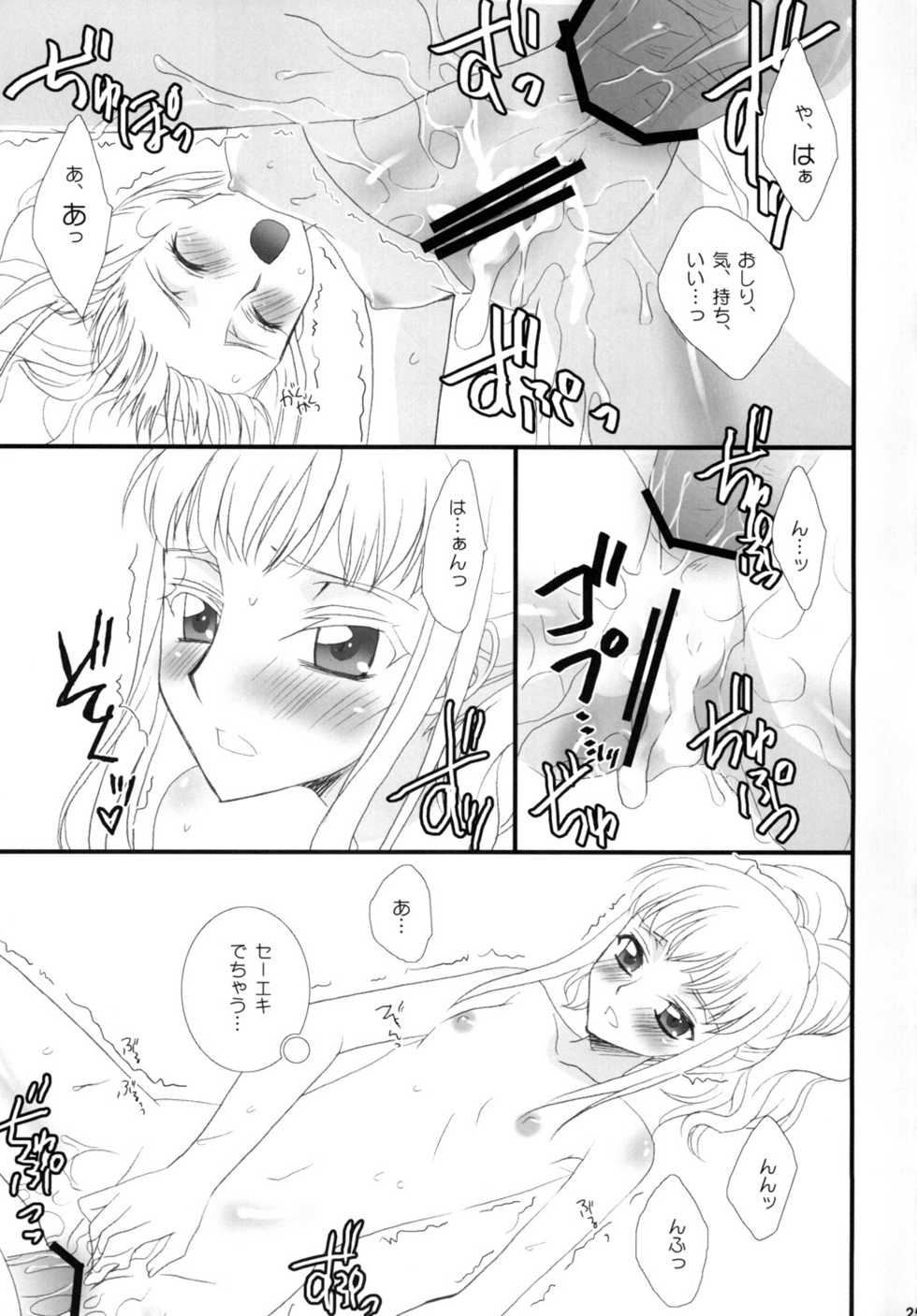 (C76) [FAIRY PINK (Asano Akira)] Goshujin-sama to Issho. (Code Geass) - Page 25