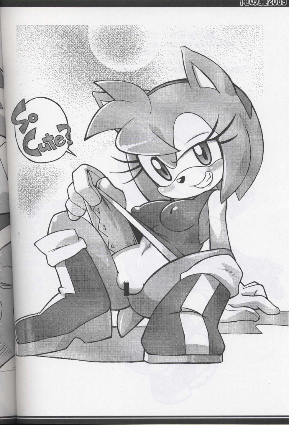 (C76) [Tengai Aku Juumonji (Akuno Toujou, Nezumin)] Ore no Natsu 2009 (Various) - Page 3