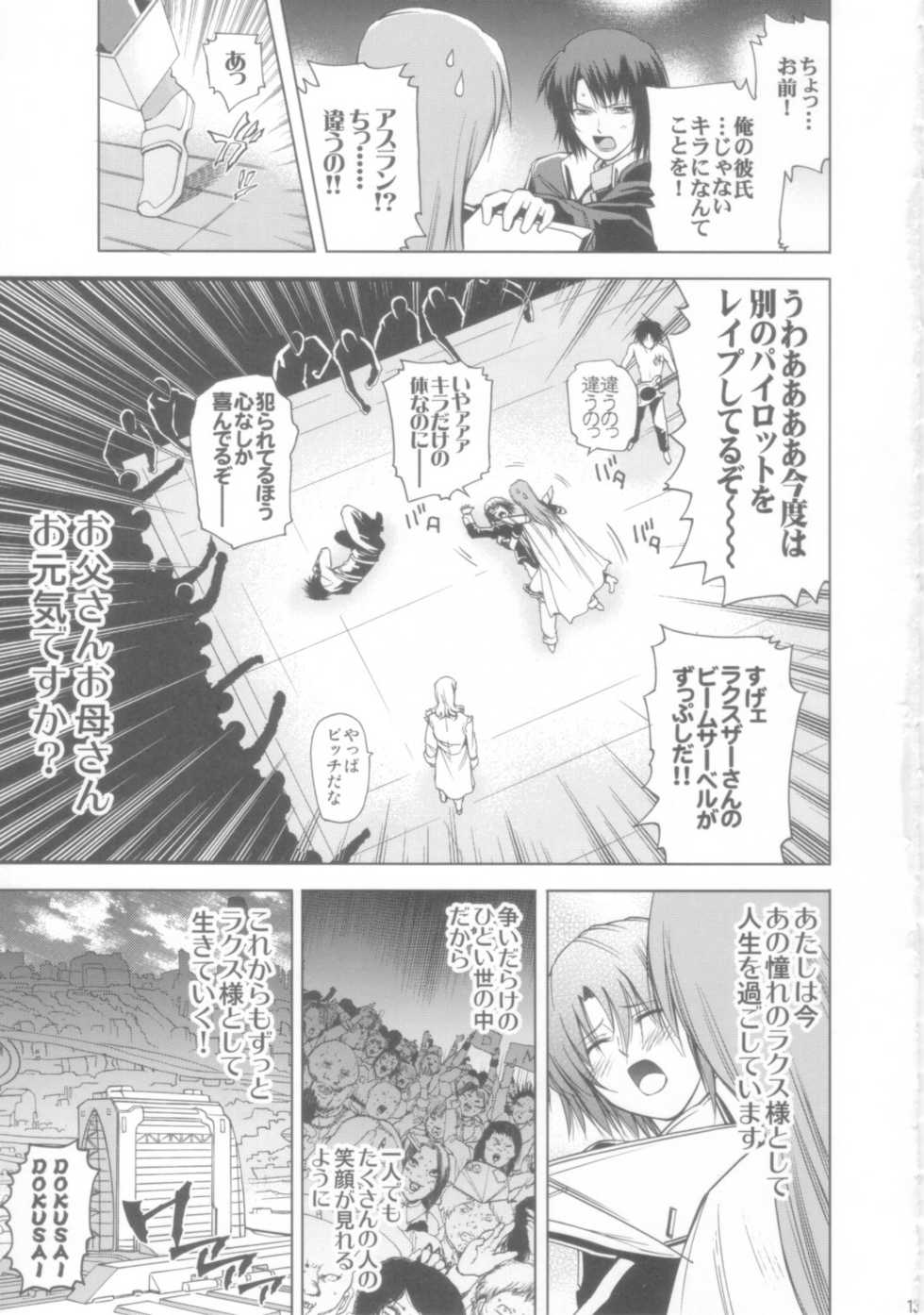 [OMEGA 2-D] DESTINY METAL CHRIST (Gundam Seed) - Page 13