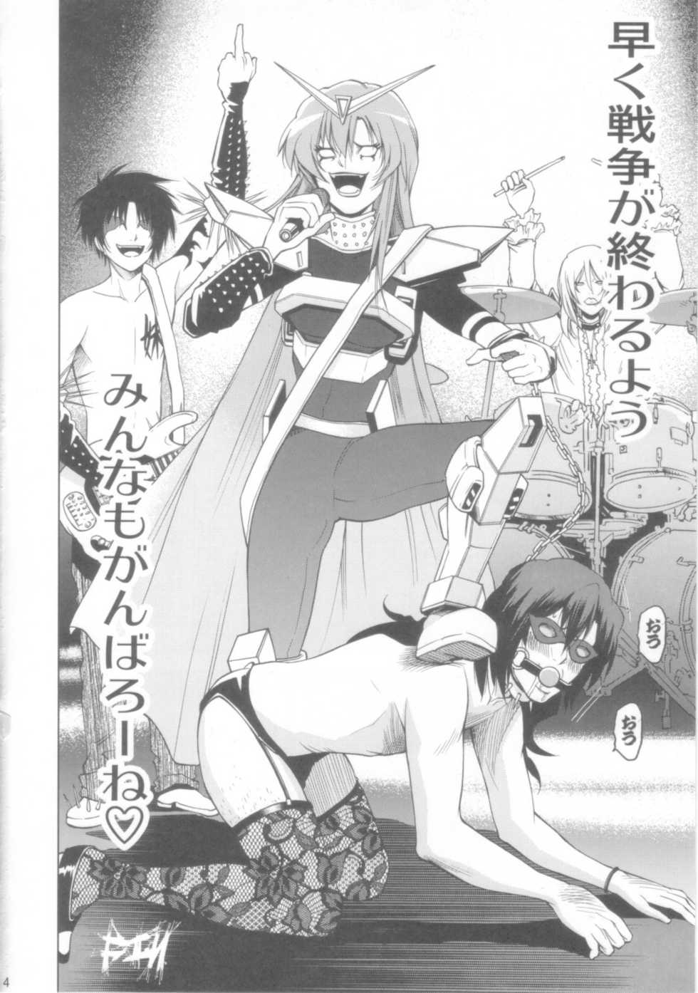 [OMEGA 2-D] DESTINY METAL CHRIST (Gundam Seed) - Page 14