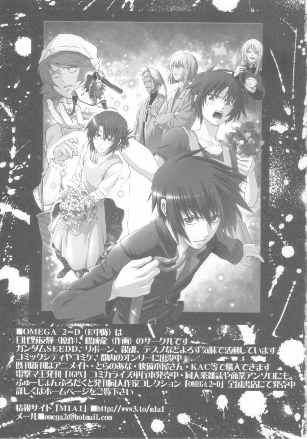 [OMEGA 2-D] DESTINY METAL CHRIST (Gundam Seed) - Page 17