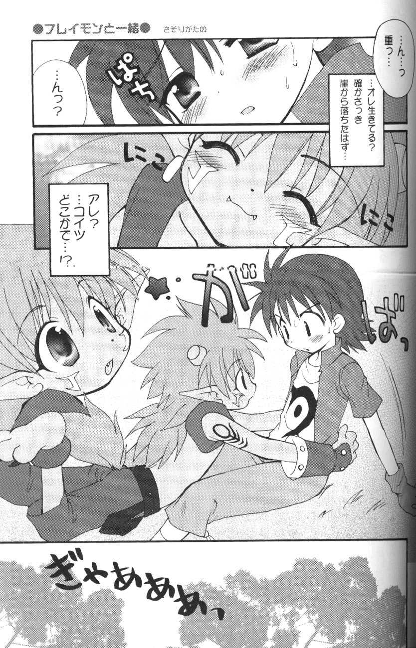 (C63) [Houkago Paradise (Sasorigatame)] Kairaku Denpa (Digimon Frontier) - Page 4