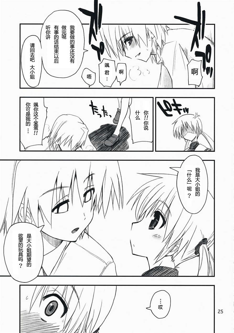 (C73) [Girigiri Nijiiro (Kamino Ryu-ya)] Nanoda! (Hayate no Gotoku!) [Chinese] [随想汉化] - Page 24