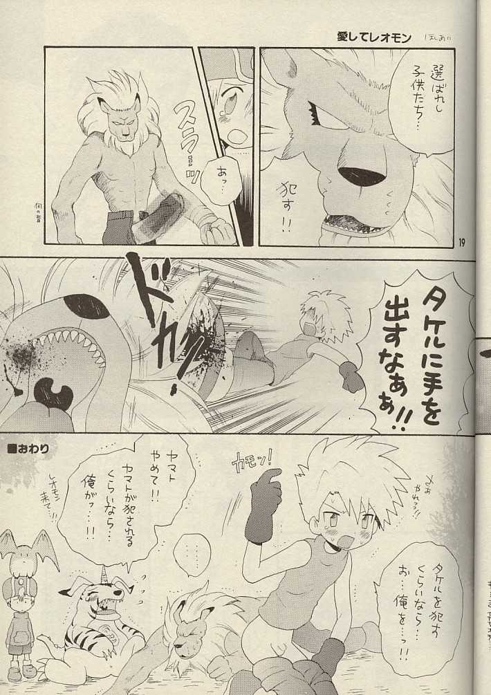 (CCTokyo96) [Haniwa Mania, Kuruguru DNA (Pon Takahanada, Hoshiai Hiro)] Bokura No Jogress World (Digimon Adventure 02) - Page 19