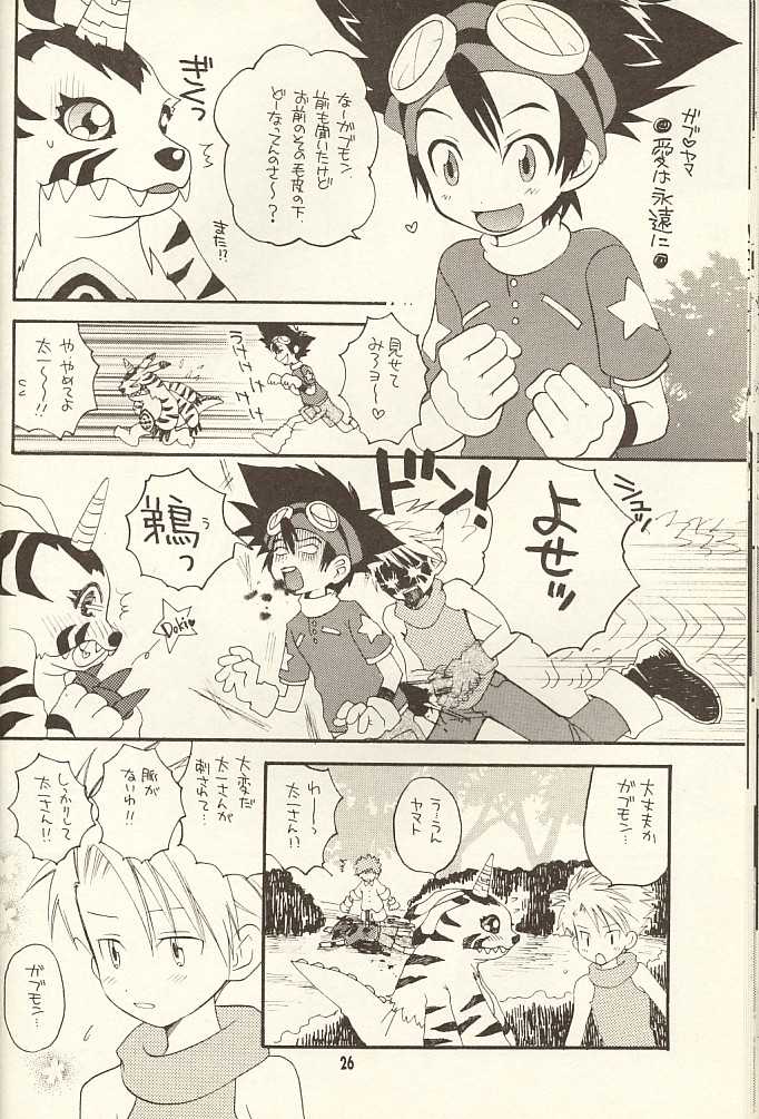 (CCTokyo96) [Haniwa Mania, Kuruguru DNA (Pon Takahanada, Hoshiai Hiro)] Bokura No Jogress World (Digimon Adventure 02) - Page 26