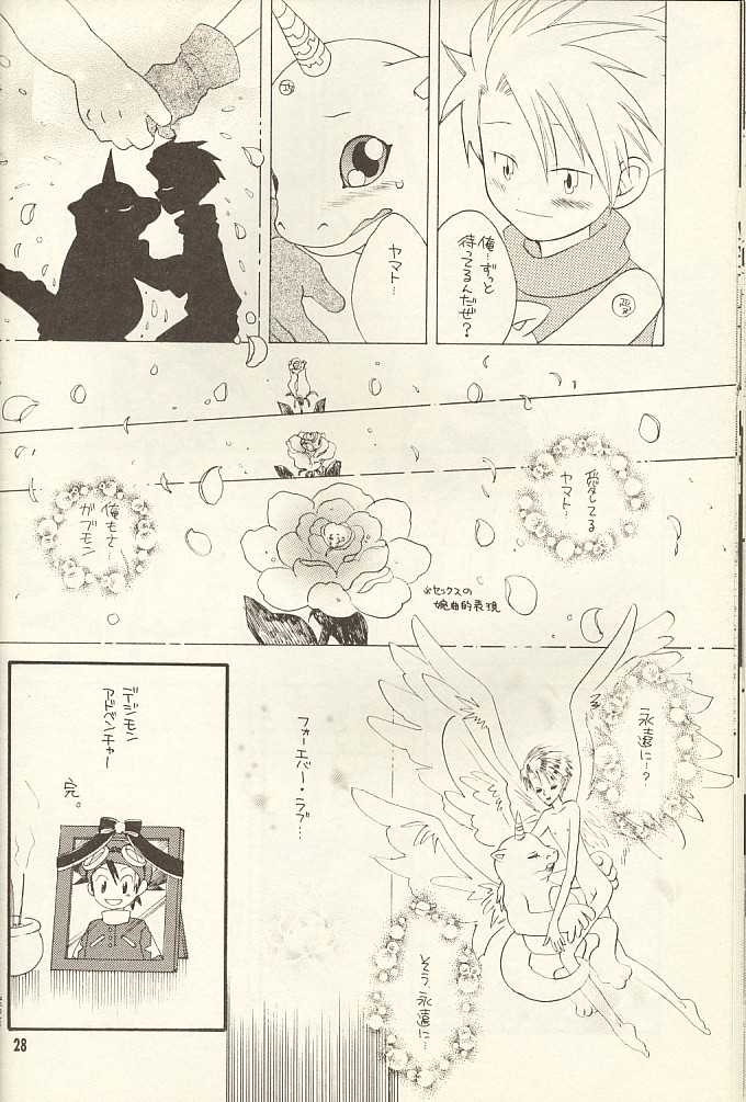 (CCTokyo96) [Haniwa Mania, Kuruguru DNA (Pon Takahanada, Hoshiai Hiro)] Bokura No Jogress World (Digimon Adventure 02) - Page 28