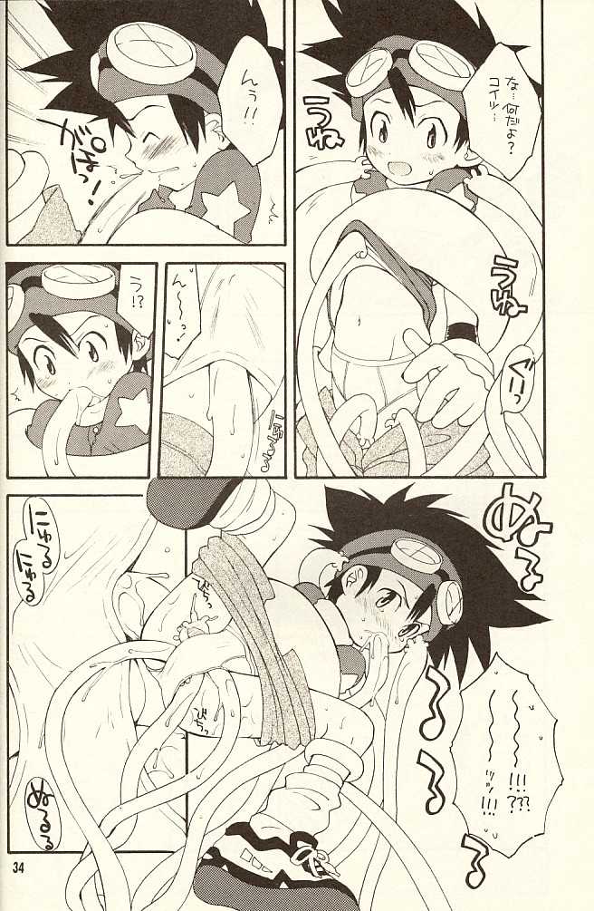 (CCTokyo96) [Haniwa Mania, Kuruguru DNA (Pon Takahanada, Hoshiai Hiro)] Bokura No Jogress World (Digimon Adventure 02) - Page 34
