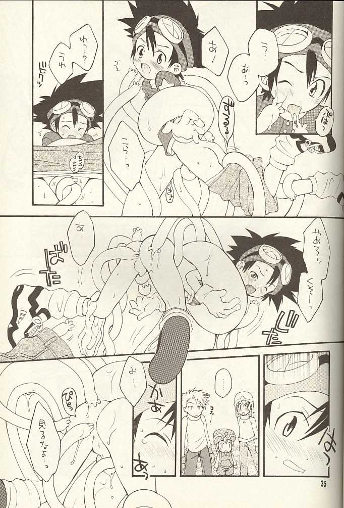 (CCTokyo96) [Haniwa Mania, Kuruguru DNA (Pon Takahanada, Hoshiai Hiro)] Bokura No Jogress World (Digimon Adventure 02) - Page 35