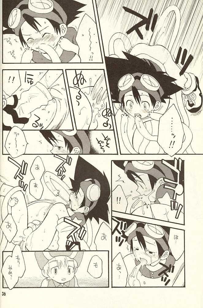 (CCTokyo96) [Haniwa Mania, Kuruguru DNA (Pon Takahanada, Hoshiai Hiro)] Bokura No Jogress World (Digimon Adventure 02) - Page 36