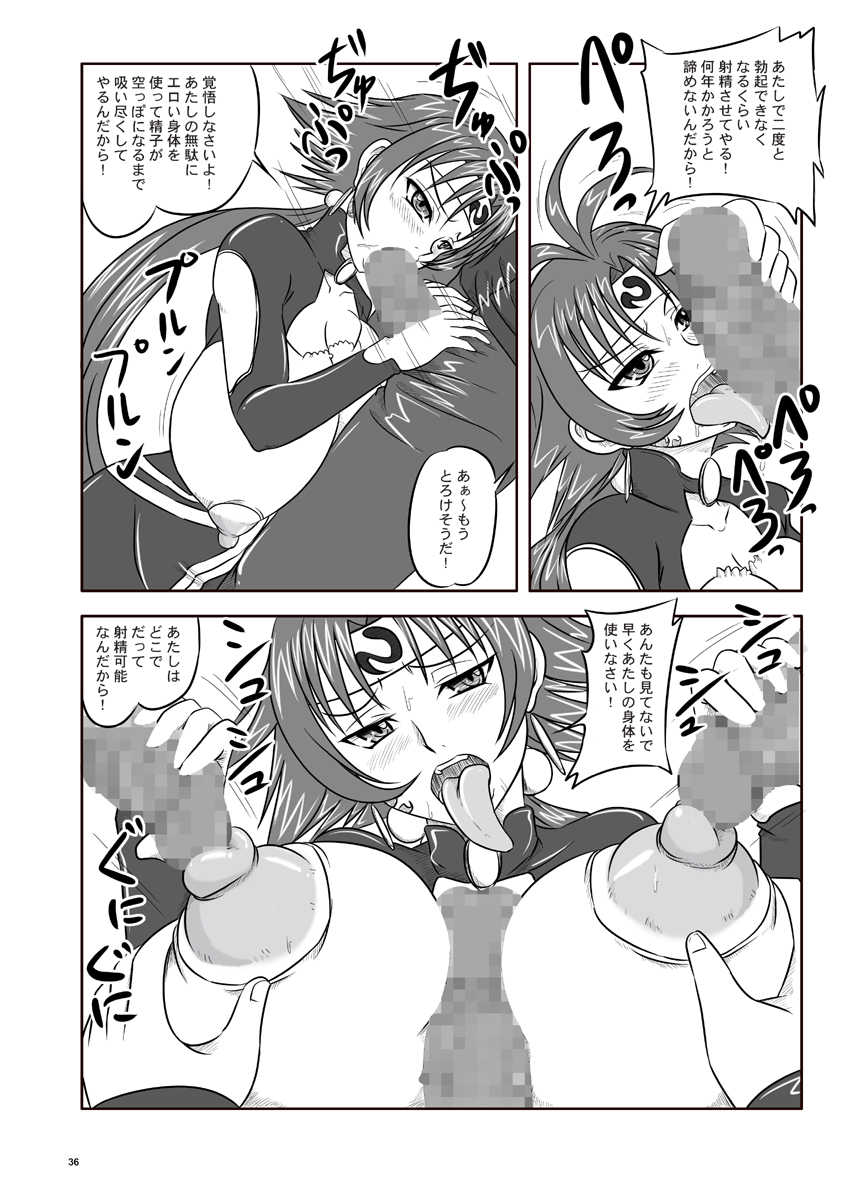 (SC36) [Nozarashi (Nozarashi Satoru)] Shi Shi Mai Mai (Super Robot Wars) - Page 37