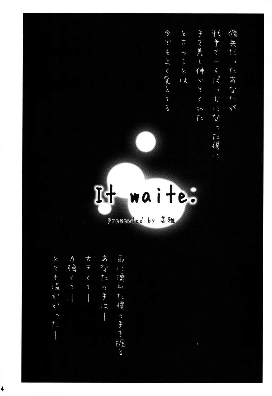 (C78) [Miburi (Miga, Izumi Yoshikazu)] MIBURI no HON 3 - Page 3
