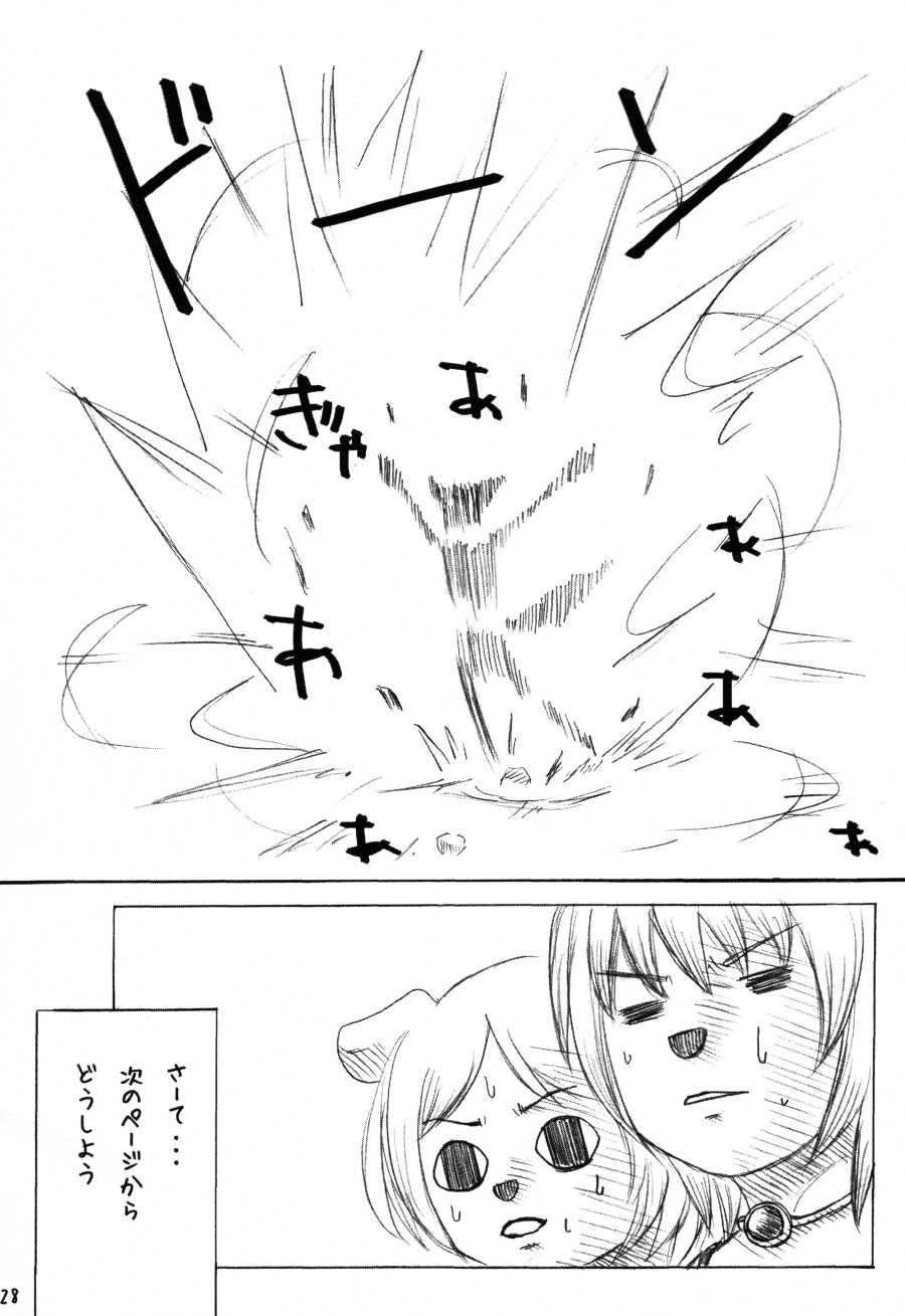 (C78) [Miburi (Miga, Izumi Yoshikazu)] MIBURI no HON 3 - Page 27