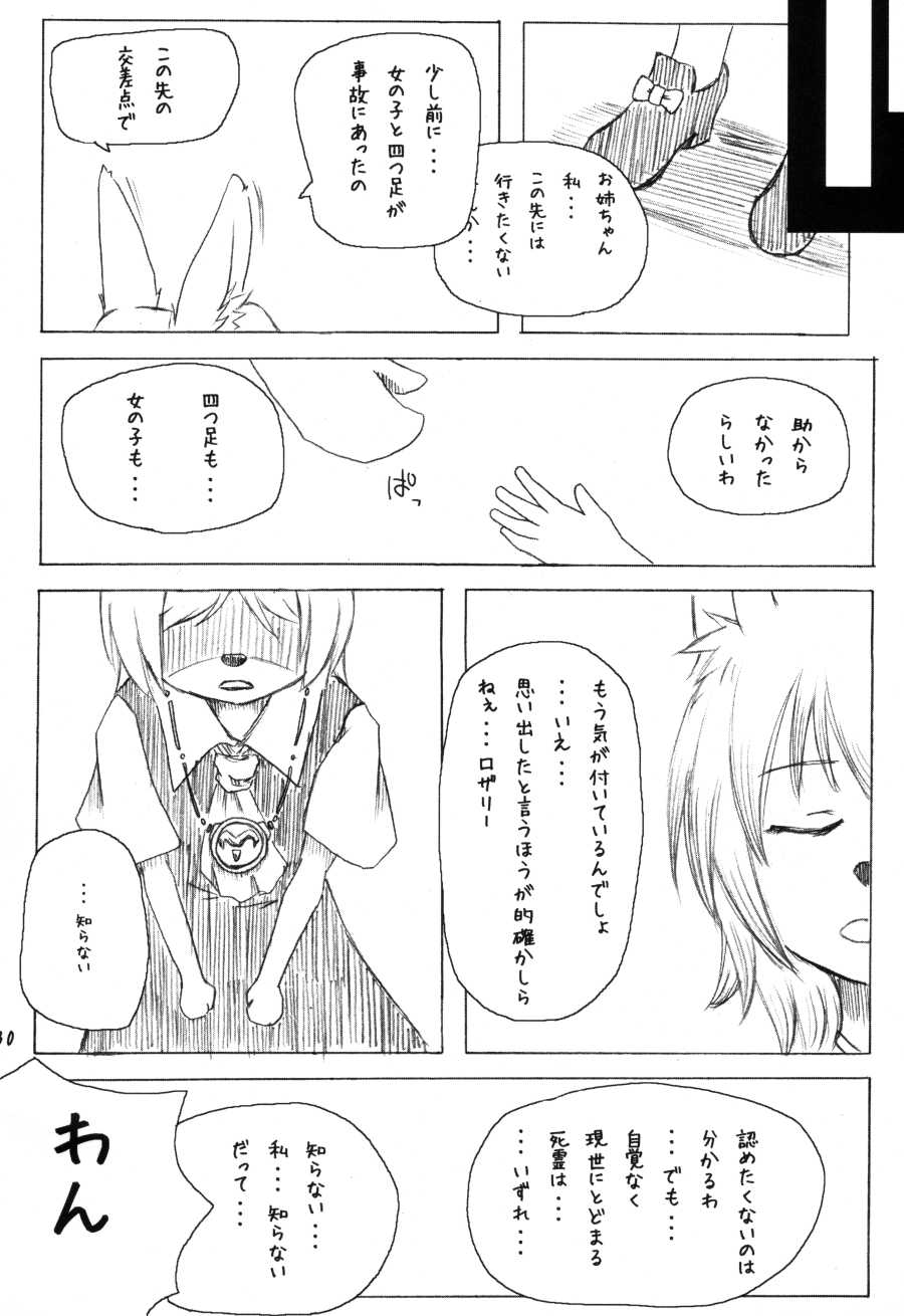 (C78) [Miburi (Miga, Izumi Yoshikazu)] MIBURI no HON 3 - Page 29