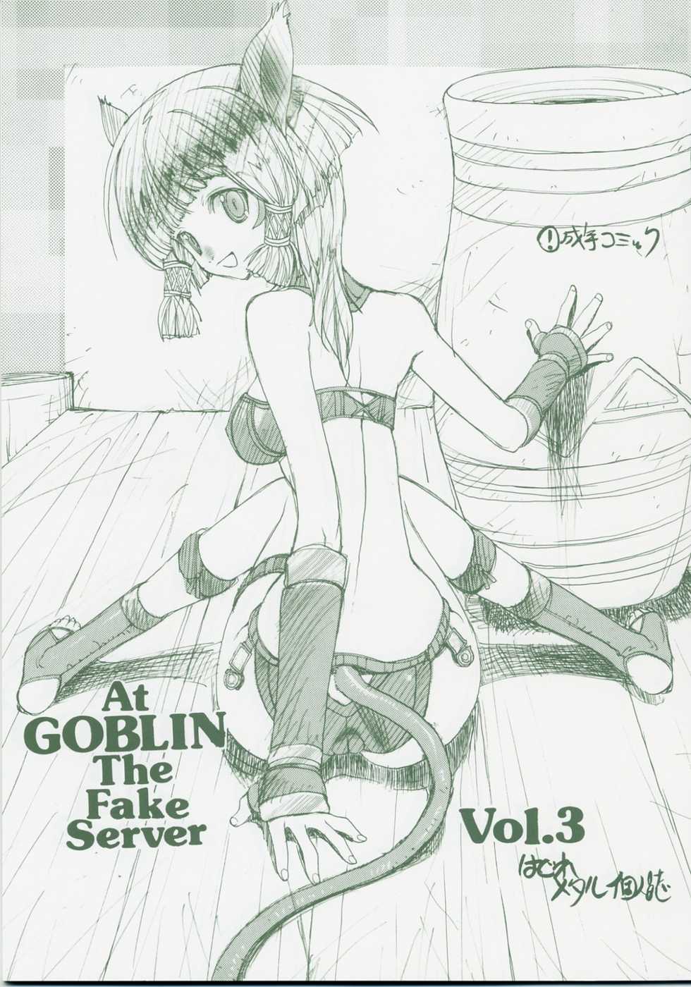 [ZINZIN] At Goblin The Fake Server Vol.3 (Final Fantasy XI) - Page 1