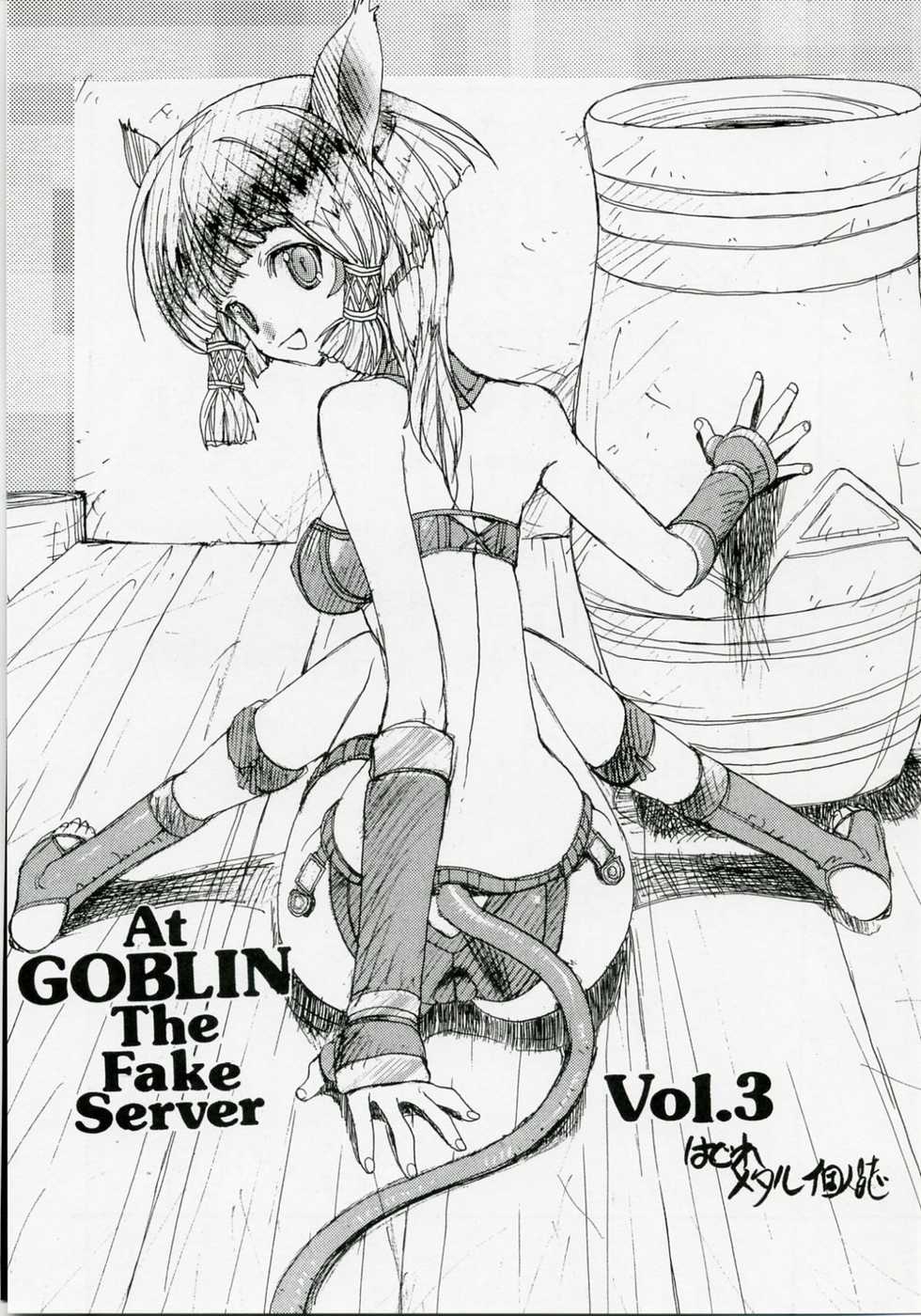 [ZINZIN] At Goblin The Fake Server Vol.3 (Final Fantasy XI) - Page 2