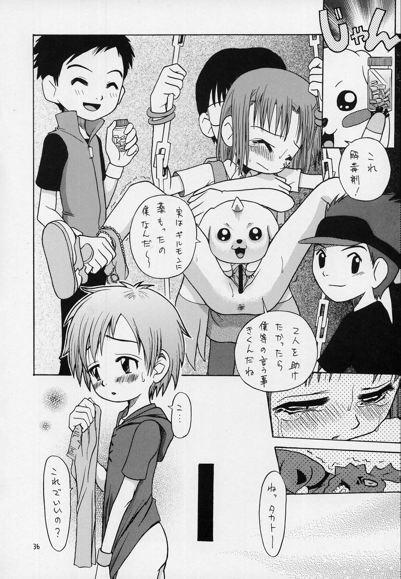 (CCOsaka37) [Studio Tar (Kyouichirou, Shamon)] Takato Ijiri (Digimon Tamers) - Page 35