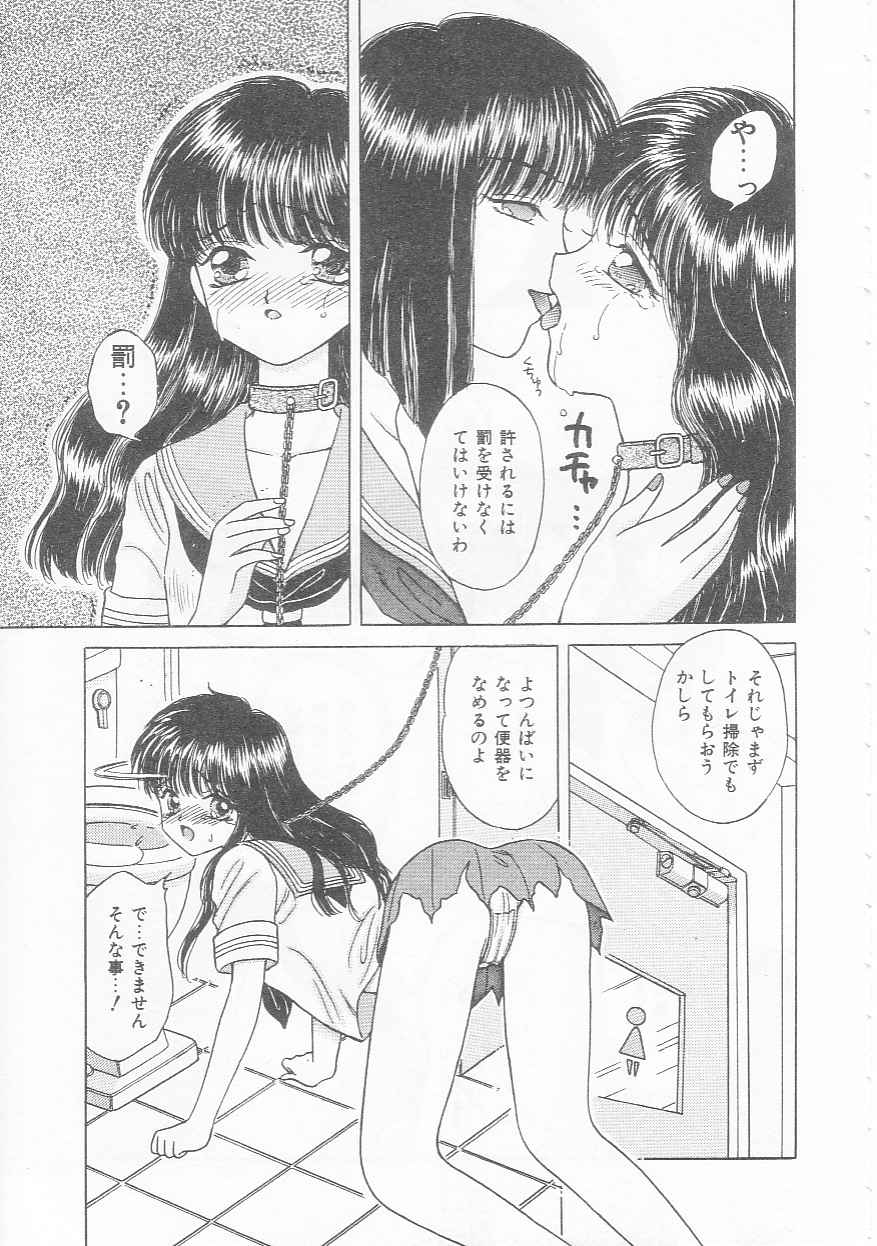 [Kirisawa Mint]bishoujo shiiku no susume - Page 17