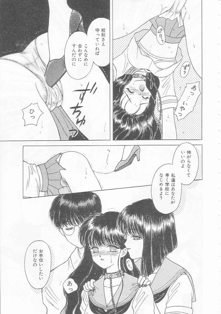 [Kirisawa Mint]bishoujo shiiku no susume - Page 19
