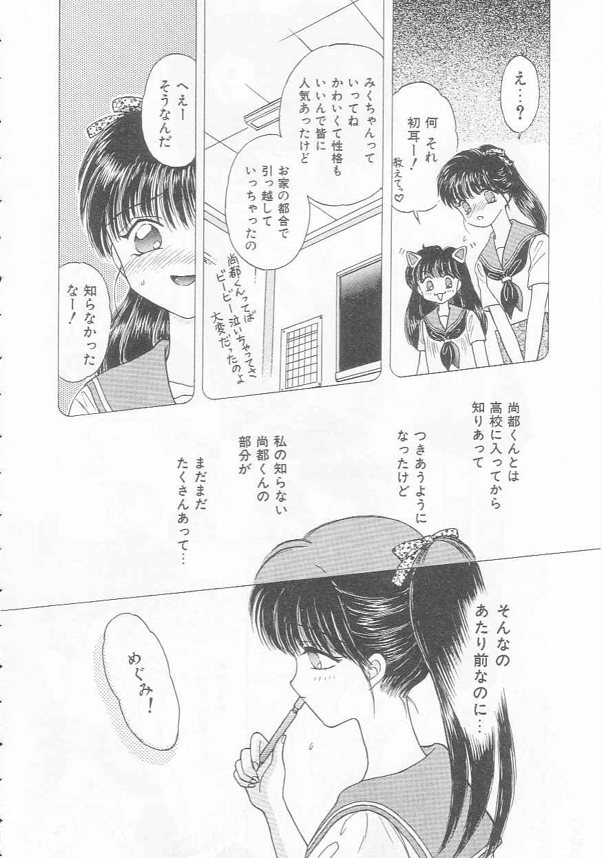 [Kirisawa Mint]bishoujo shiiku no susume - Page 30